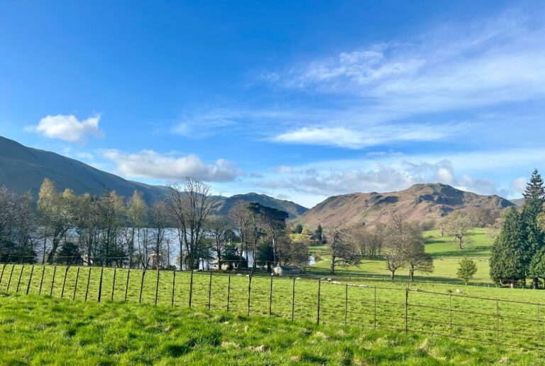 A green field in the foreground with a lake visible beyond
