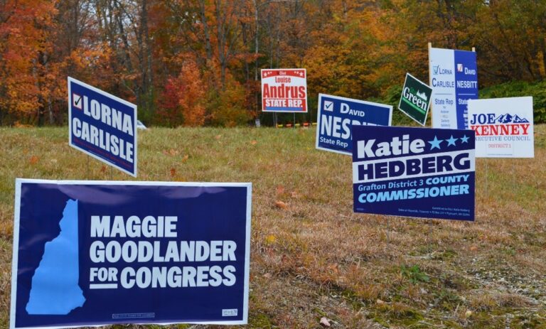 Various political signs on an area of grass